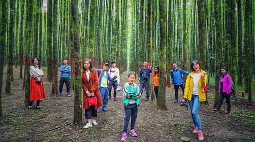 重慶山王坪需要門票嗎？重慶山王坪旅游攻略