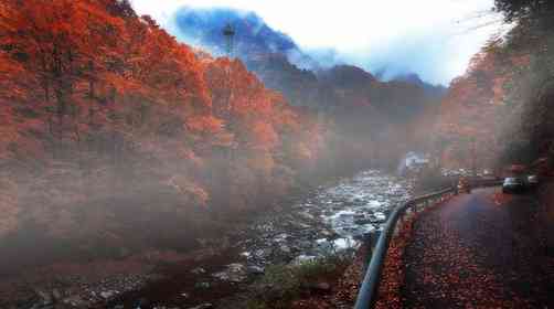 2018光霧山紅葉節(jié)是什么時(shí)候？光霧山紅葉最佳觀賞時(shí)間是什么時(shí)候