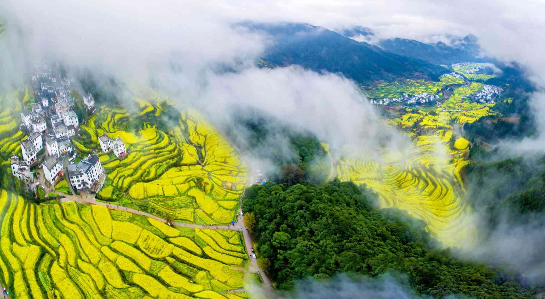 婺源旅游什么時(shí)候去最好