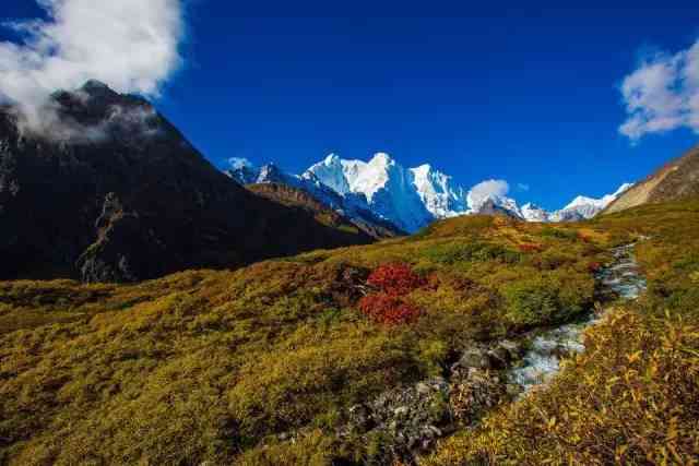 你知道西藏最美的地方在哪里嗎？