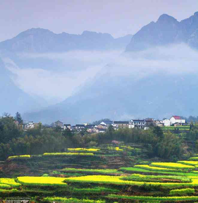 皖南最大的油菜花海觀景臺，你知道在哪里嗎？