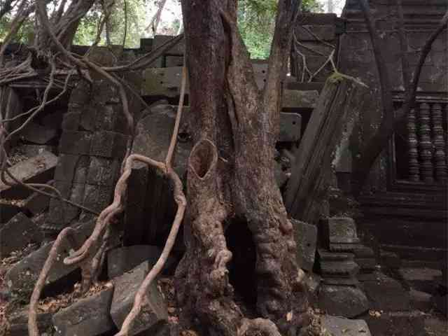 在圣劍寺遇見(jiàn)最真實(shí)的柬埔寨