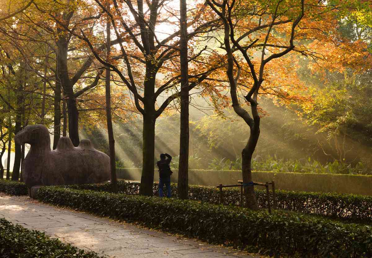 南京賞秋有什么好去處？南京五處秋色推薦