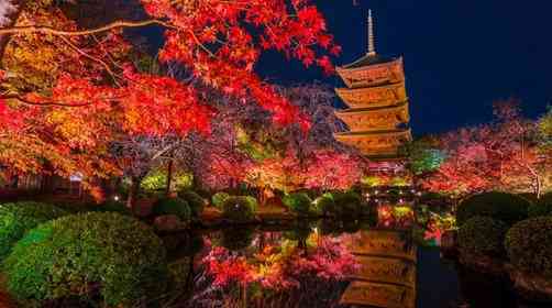 京都紅葉季來啦！日本京都紅葉最佳欣賞時間