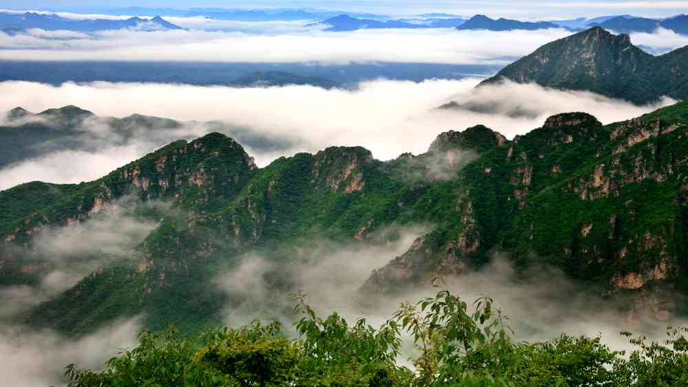 2018北京云蒙山杜鵑什么時(shí)候開，怎么去？