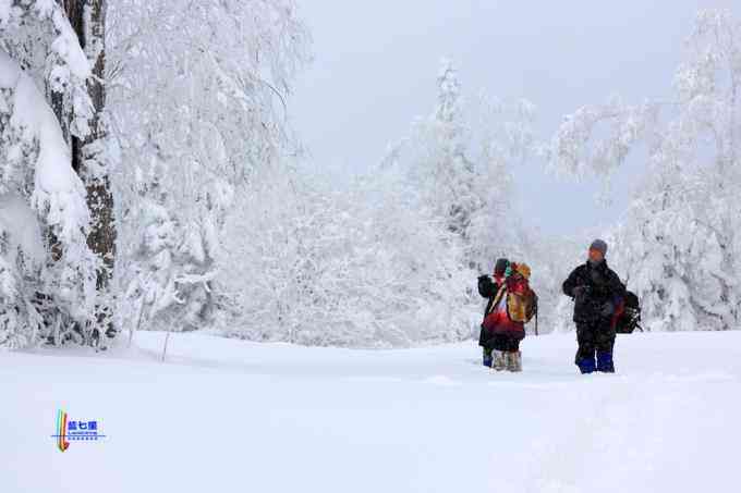 冬季拍雪哪里好？東北長白有雪嶺