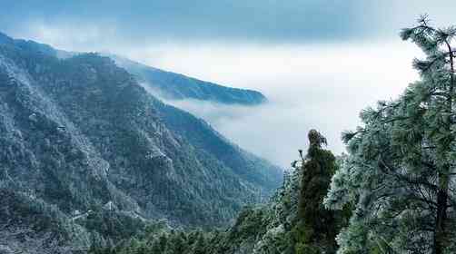 廬山門票多少錢？廬山旅游攻略