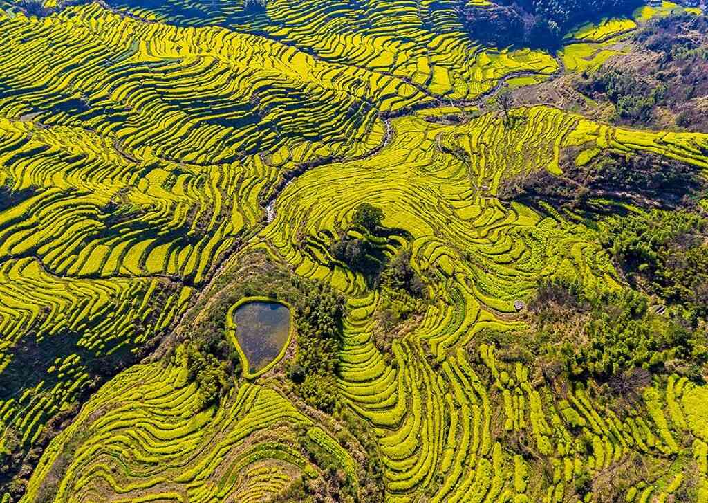 婺源春季旅游線路哪條好