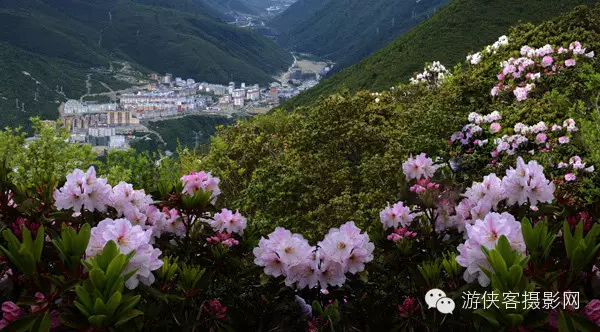 上帝為什么造四川（甘孜國際攝影大賽獲獎作品選）