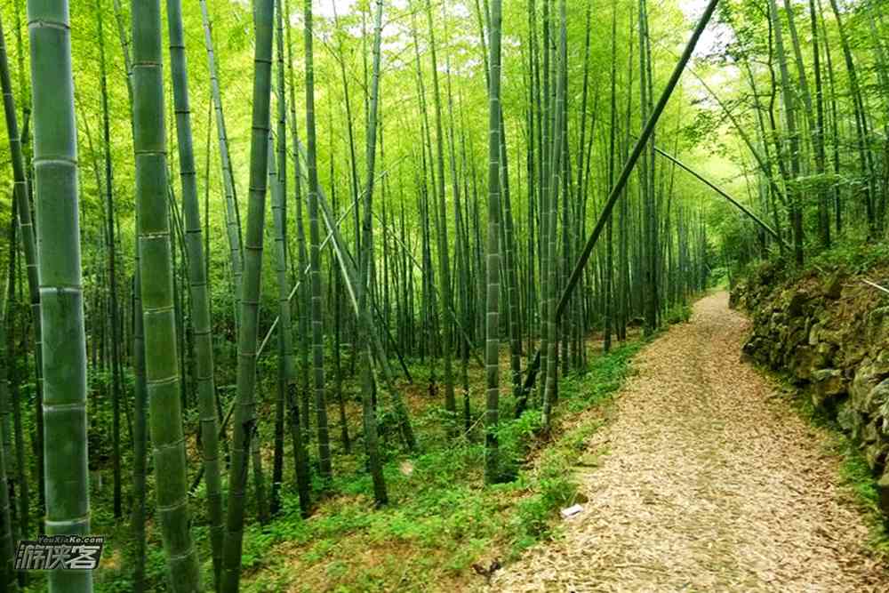 華東香格里拉菩提嶺風車古道景色如何？