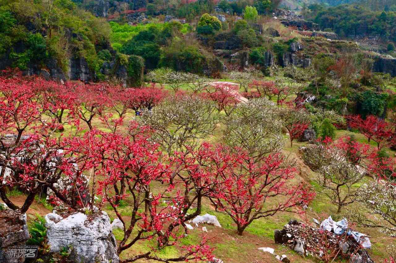 廣州春天去哪里旅游