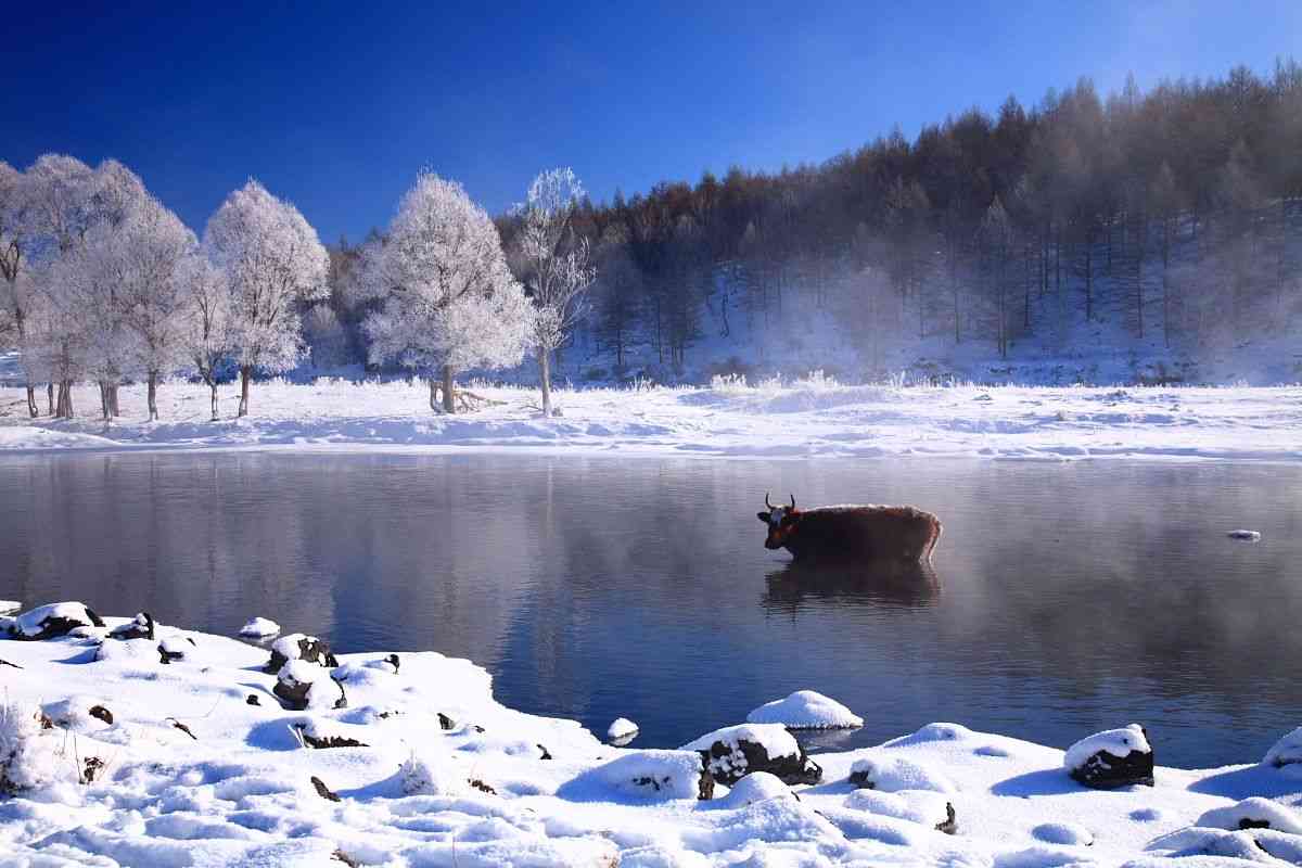 冬天去阿爾山旅游