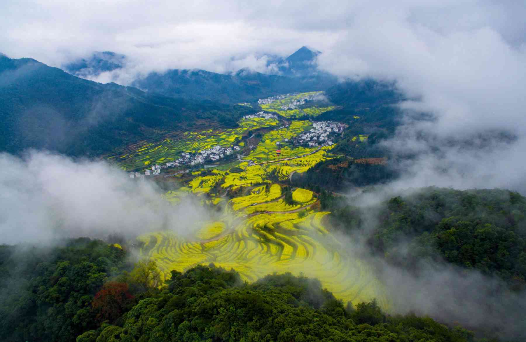 婺源有油菜花的景點(diǎn)有哪些