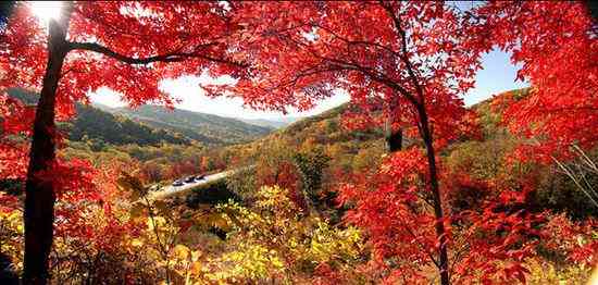 長白山蛟河紅葉谷最佳觀賞時間