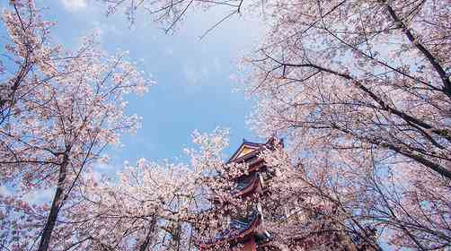 太湖一日游，太湖黿頭渚旅游攻略