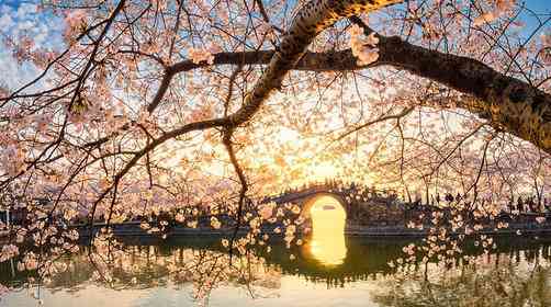 太湖一日游，太湖黿頭渚旅游攻略