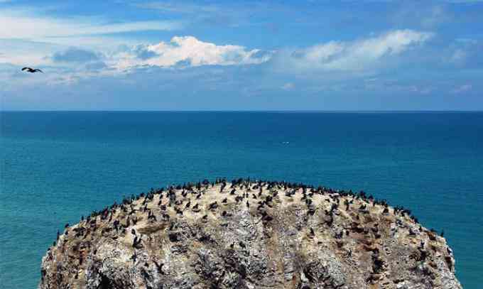 高原明珠青海湖上寶石——鳥島