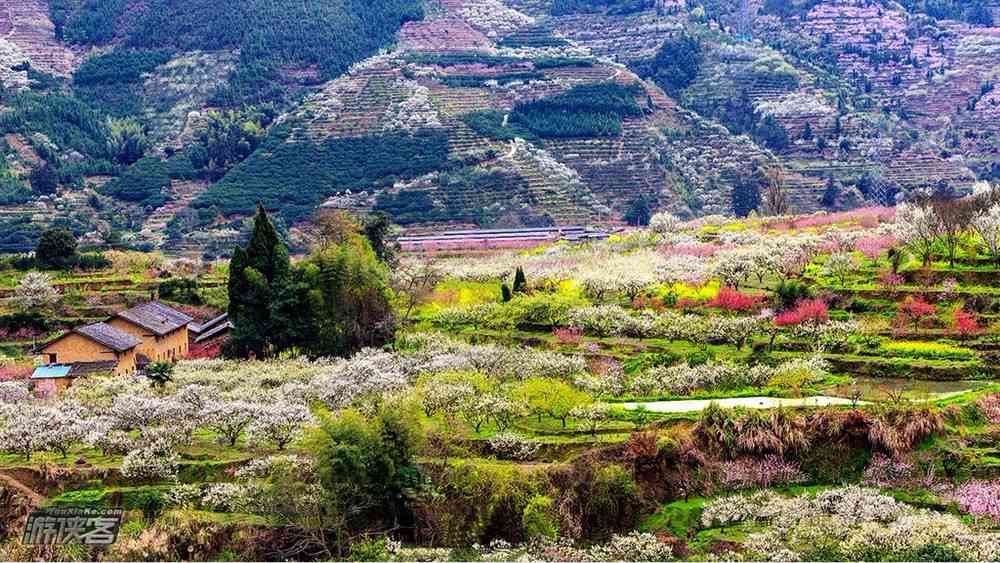 廣州春天去哪里旅游