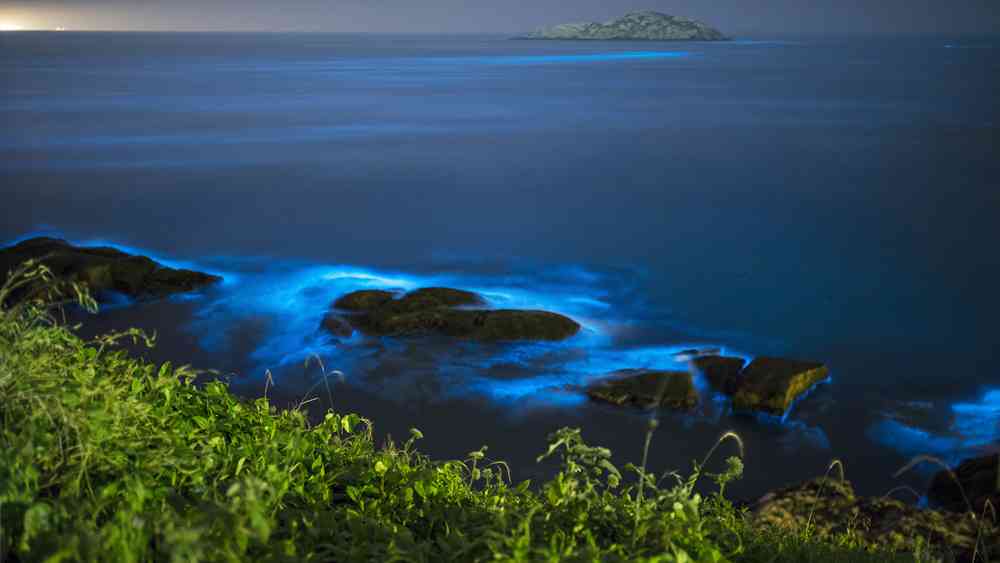 去舟山花鳥島游玩，你不能錯過的花鳥島游玩攻略