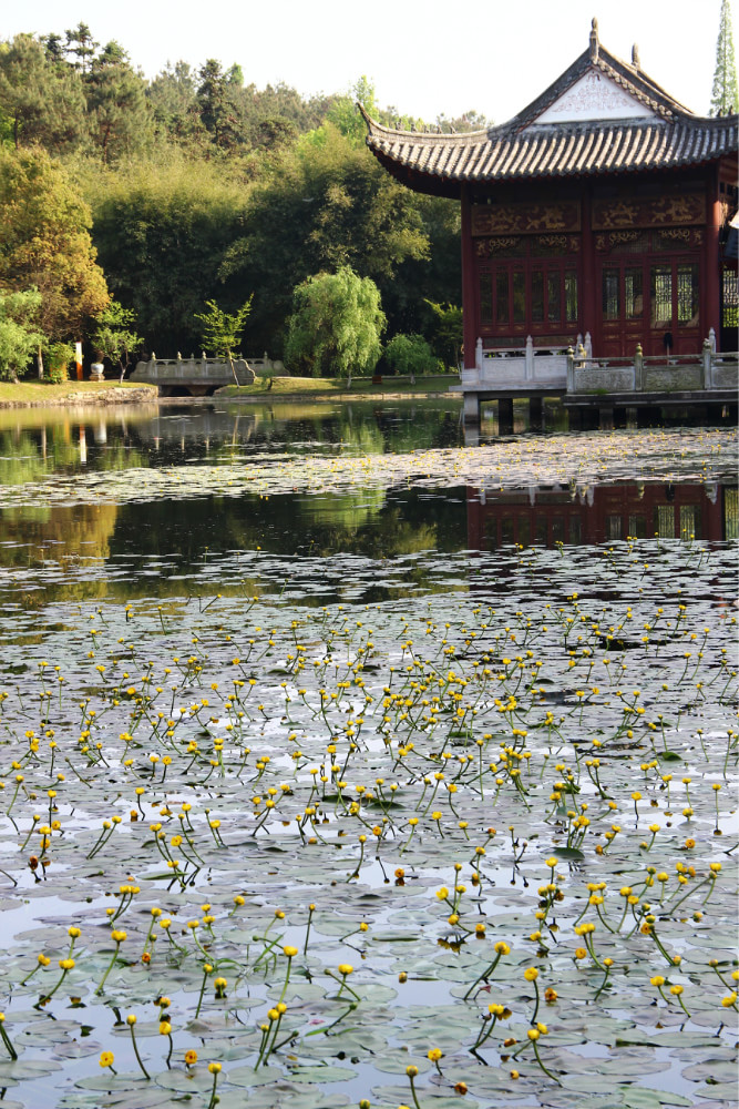 景德鎮(zhèn)陶瓷館