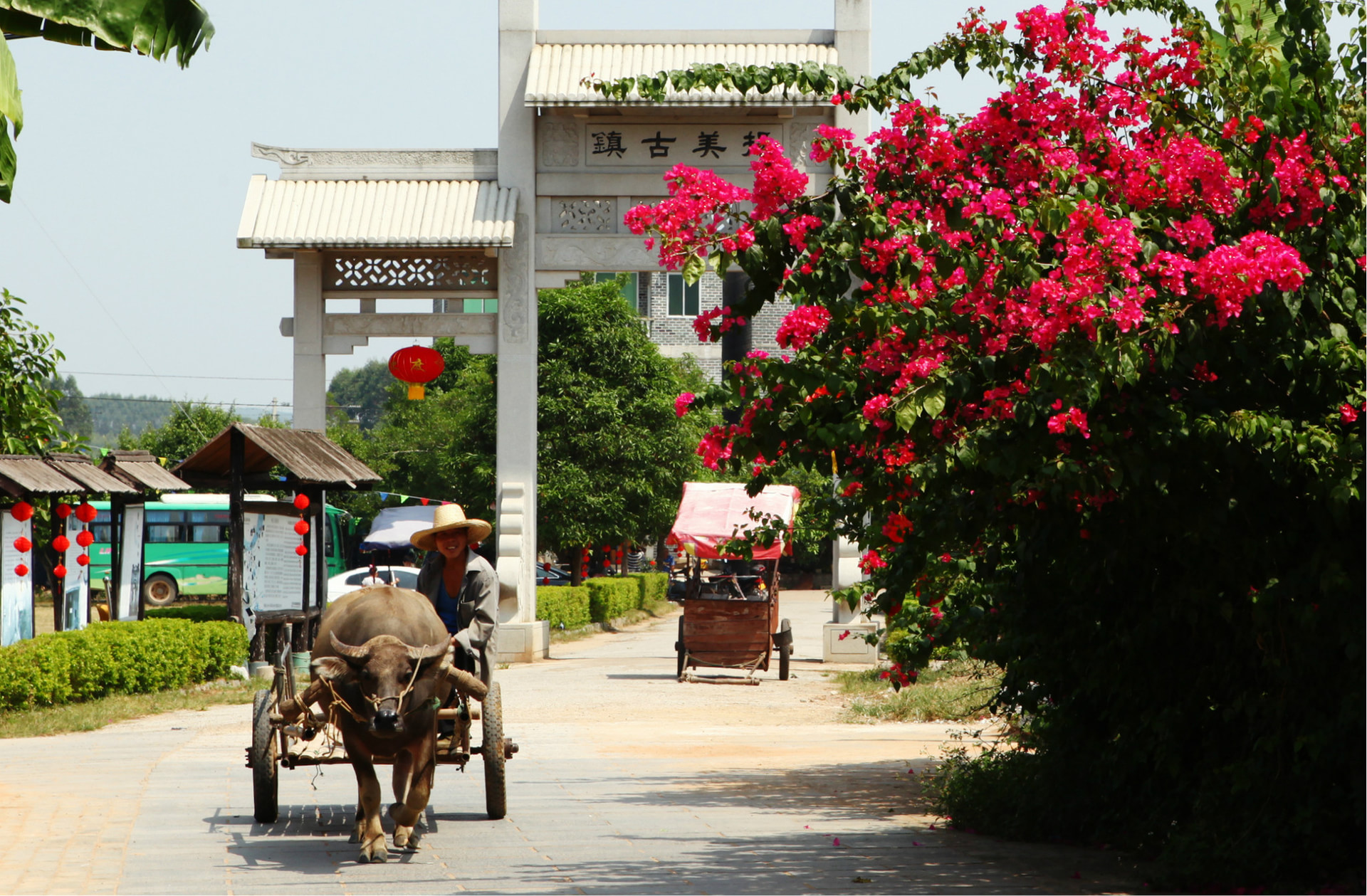 揚(yáng)美