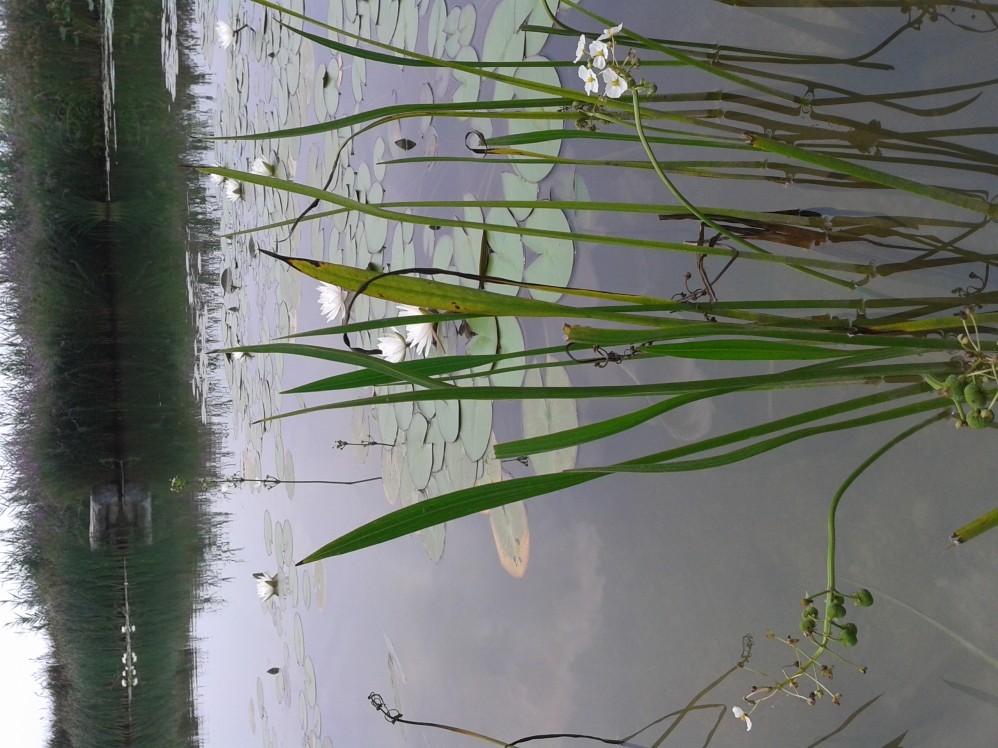 徐州云龍公園