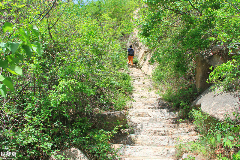 鱗龍山風(fēng)景區(qū)