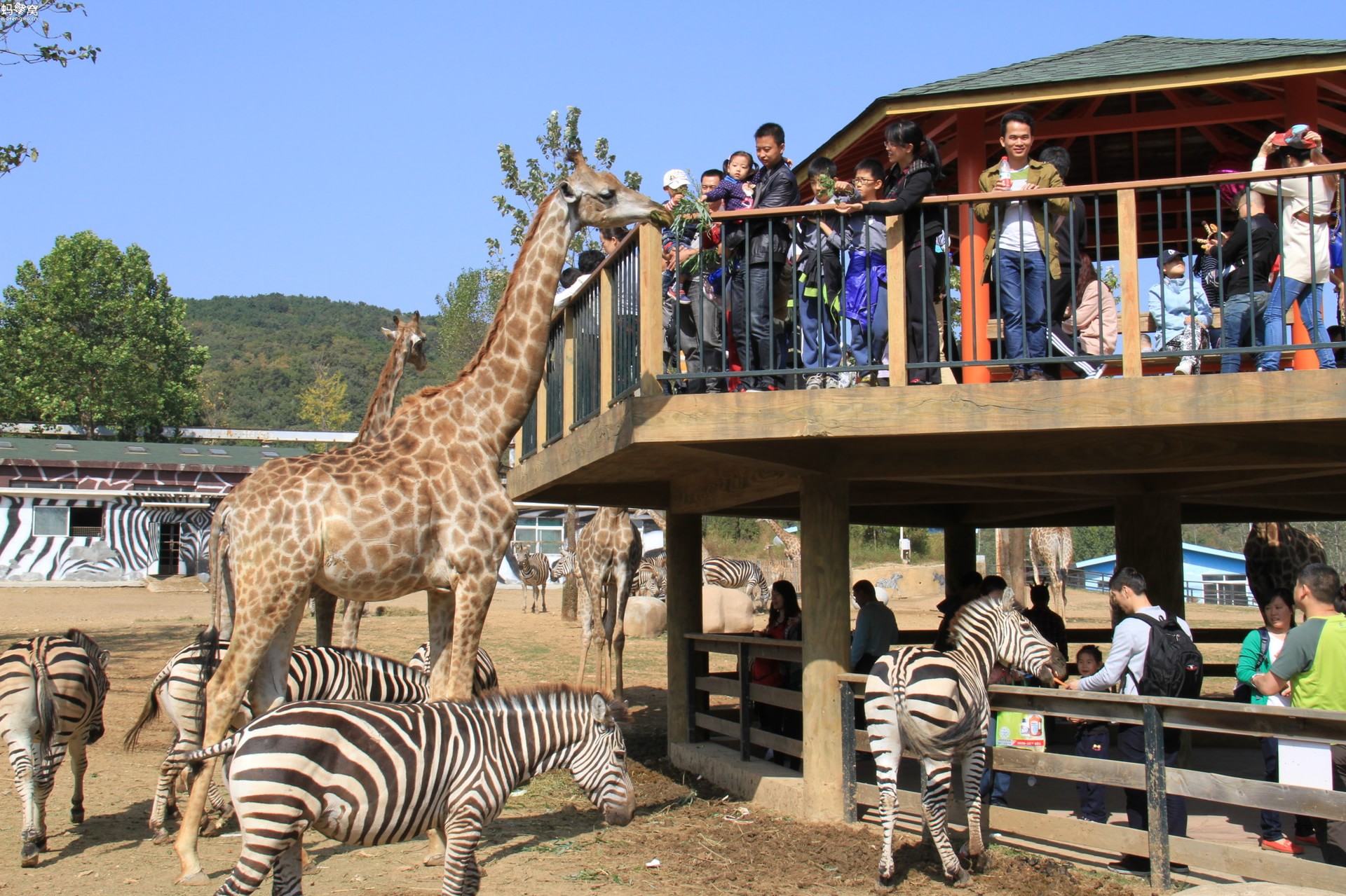 大連森林動物園