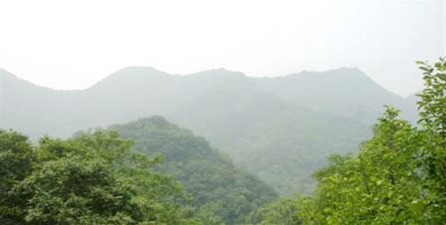 金華寺森林公園