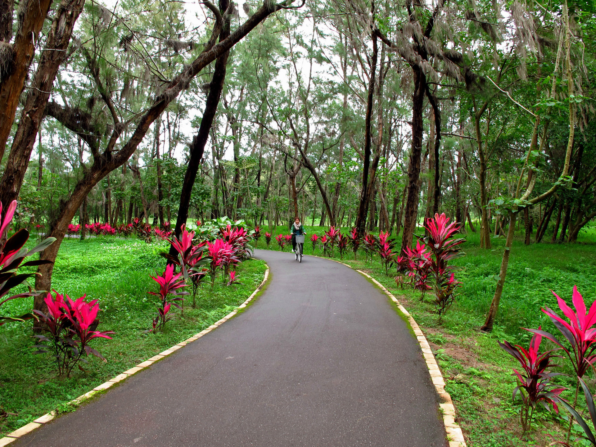 森林公園