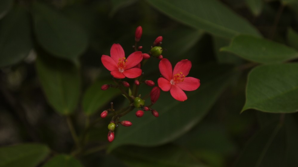 月亮灣公園