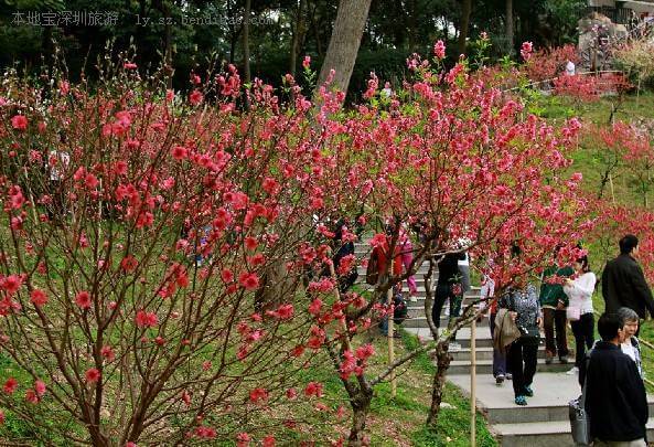 連云港桃花澗