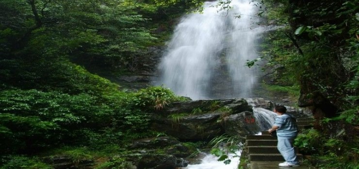 錢江源國家森林公園(近黃山)