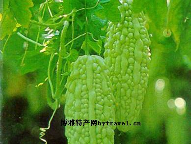 瀏陽(yáng)素食菜