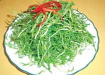 風(fēng)味山野菜