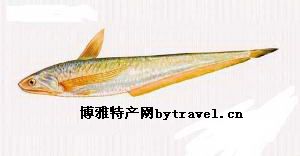 蕪湖刀魚