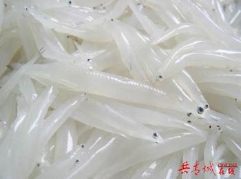 鄱陽(yáng)湖銀魚(yú)