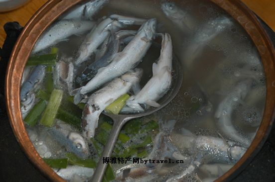 抗浪魚