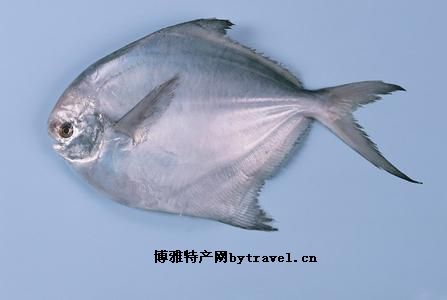 贛榆鯧魚(yú)