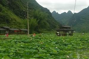 平果舊城八景