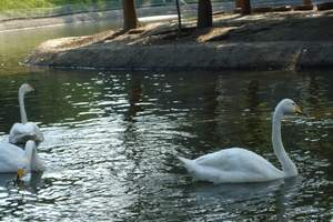 長春動植物公園