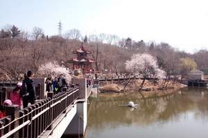 大連植物園